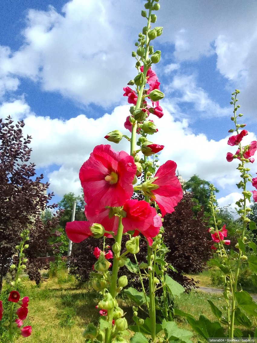 Каникулы Лу”ны (Часть 2) — Куклы Kathe Kruse (Кате/Кэте Крузе): фото