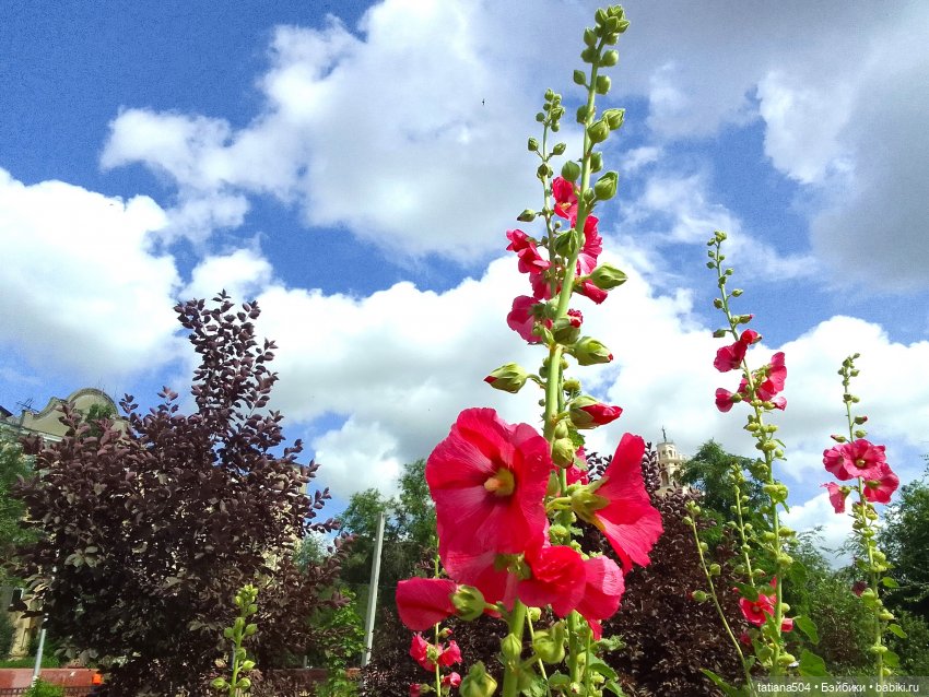 Каникулы Лу”ны (Часть 2) — Куклы Kathe Kruse (Кате/Кэте Крузе): фото