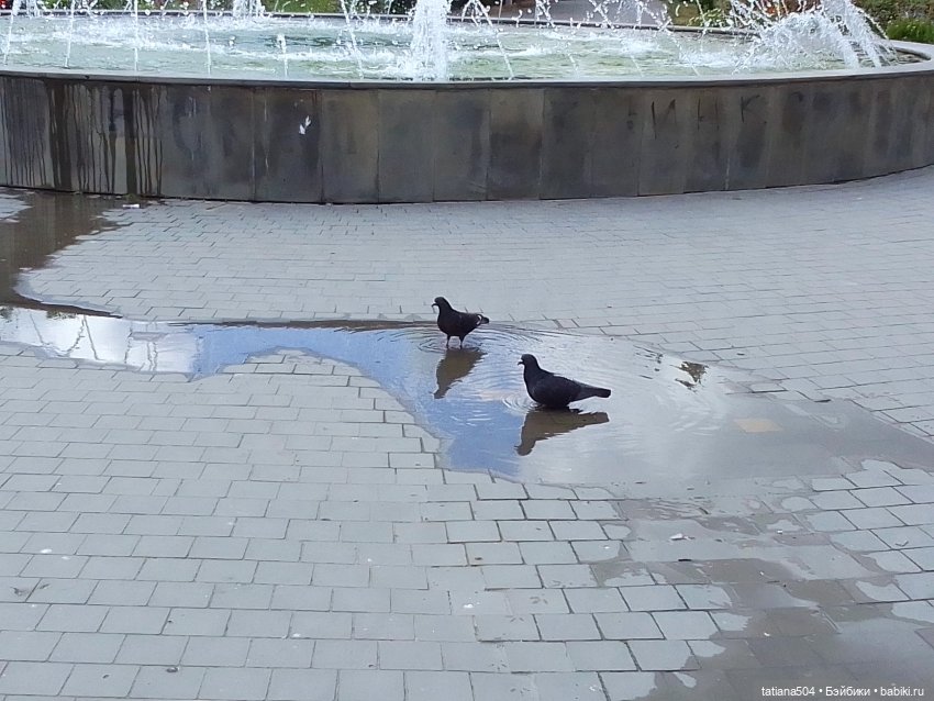 Каникулы Лу”ны (Часть 2) — Куклы Kathe Kruse (Кате/Кэте Крузе): фото