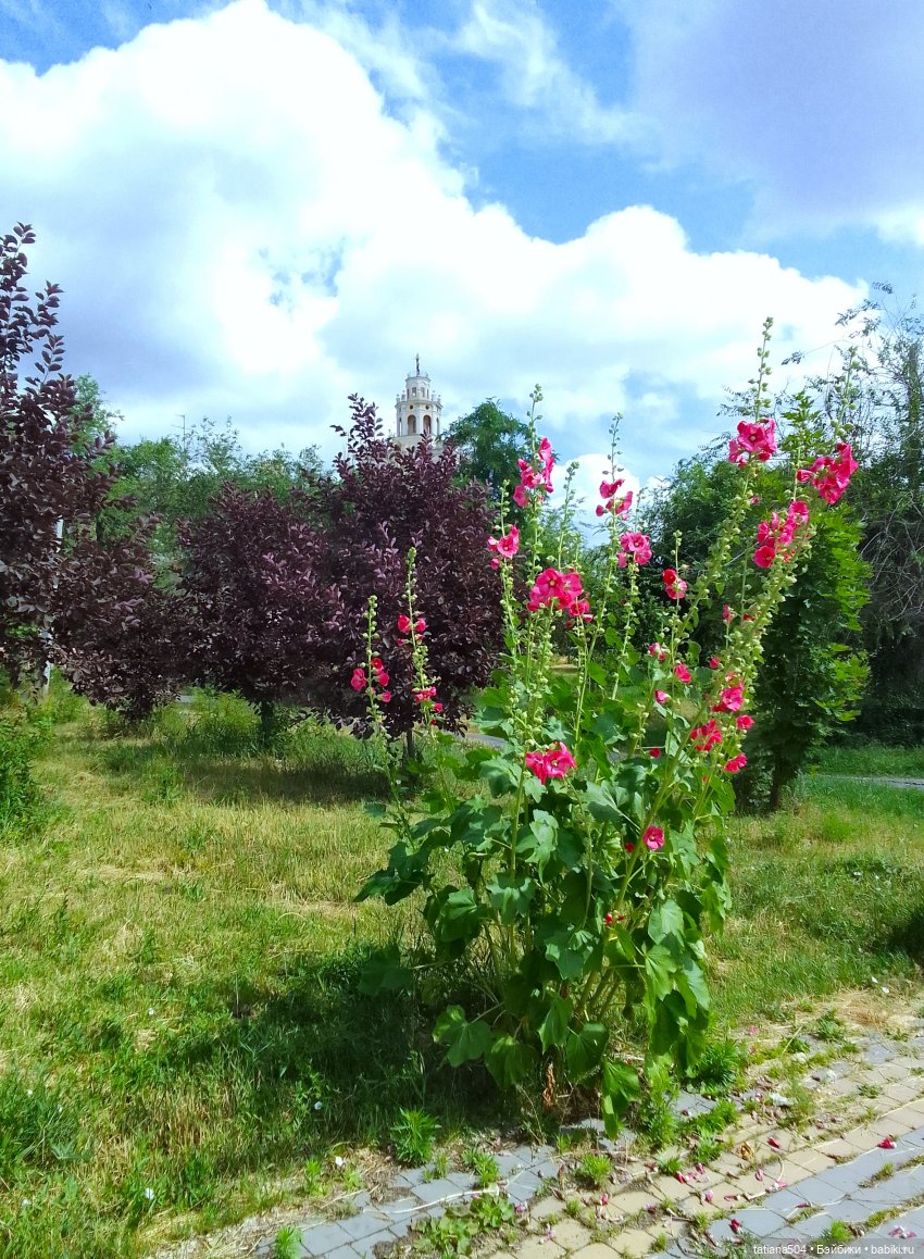 Каникулы Лу”ны (Часть 2) — Куклы Kathe Kruse (Кате/Кэте Крузе): фото