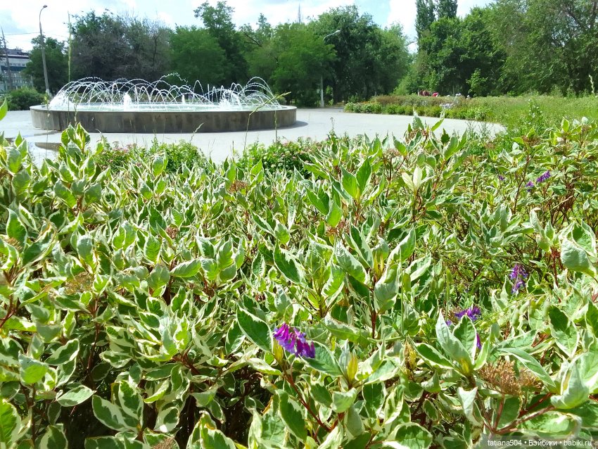 Каникулы Лу”ны (Часть 2) — Куклы Kathe Kruse (Кате/Кэте Крузе): фото