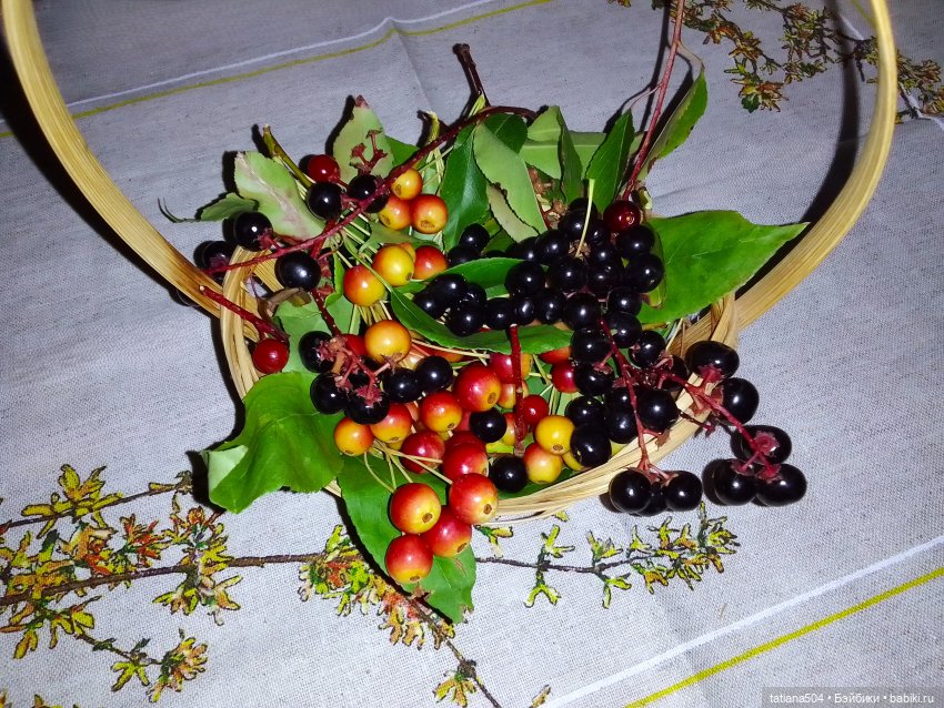 Ягодка по ягодке… — Куклы Helen Kish (Хелен Киш): Riley (Райли)