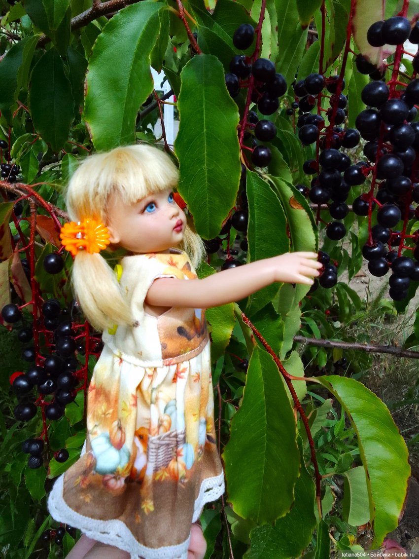 Ягодка по ягодке… — Куклы Helen Kish (Хелен Киш): Riley (Райли)