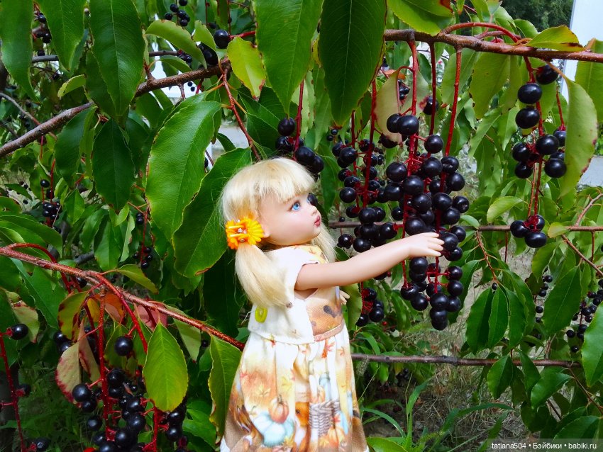 Ягодка по ягодке… — Куклы Helen Kish (Хелен Киш): Riley (Райли)