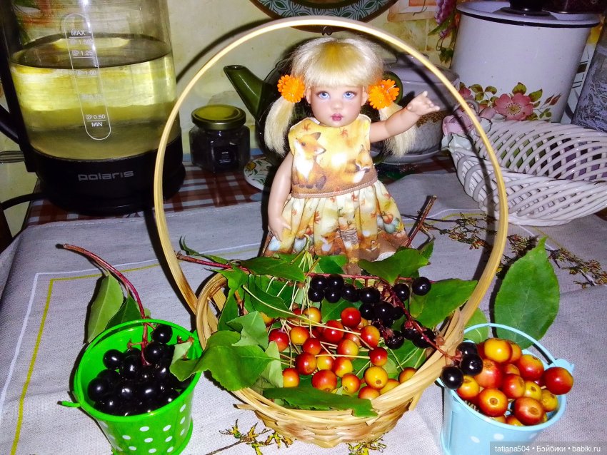 Ягодка по ягодке… — Куклы Helen Kish (Хелен Киш): Riley (Райли)