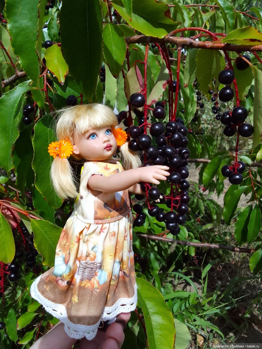 Ягодка по ягодке… — Куклы Helen Kish (Хелен Киш): Riley (Райли)