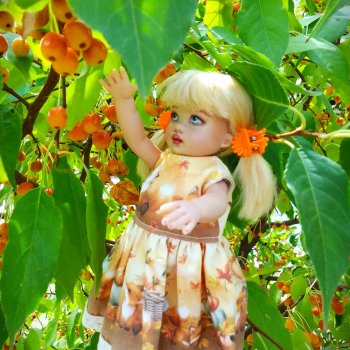 Ягодка по ягодке…