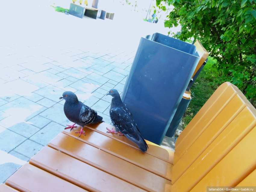 Сентябрьский променад в компании Михаэля