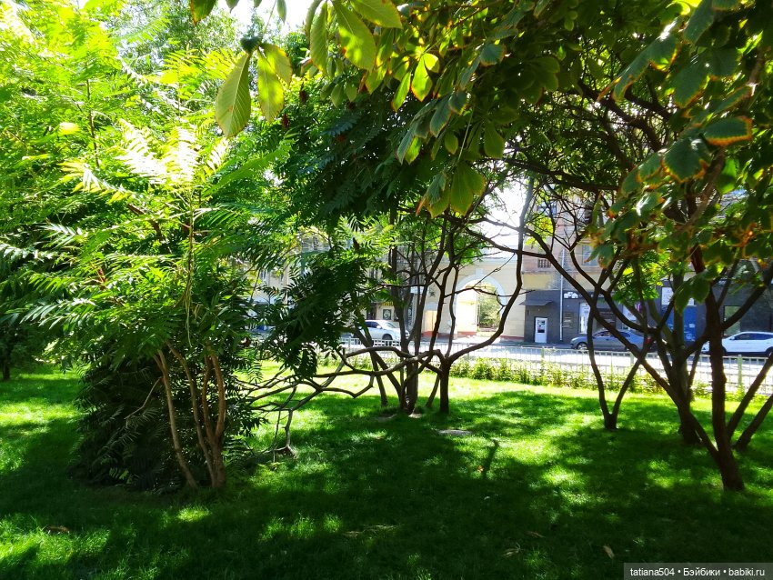 Сентябрьский променад в компании Михаэля