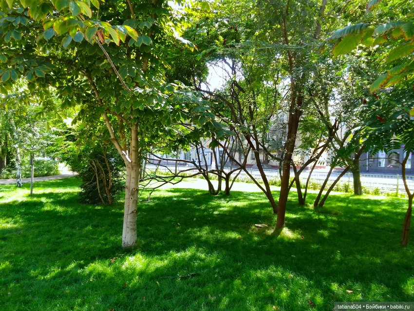 Сентябрьский променад в компании Михаэля