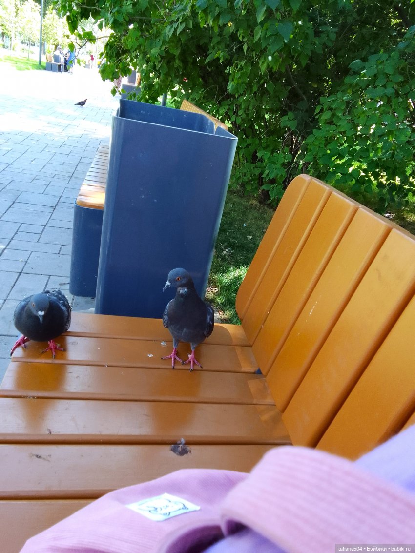 Сентябрьский променад в компании Михаэля