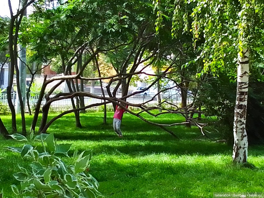 Сентябрьский променад в компании Михаэля