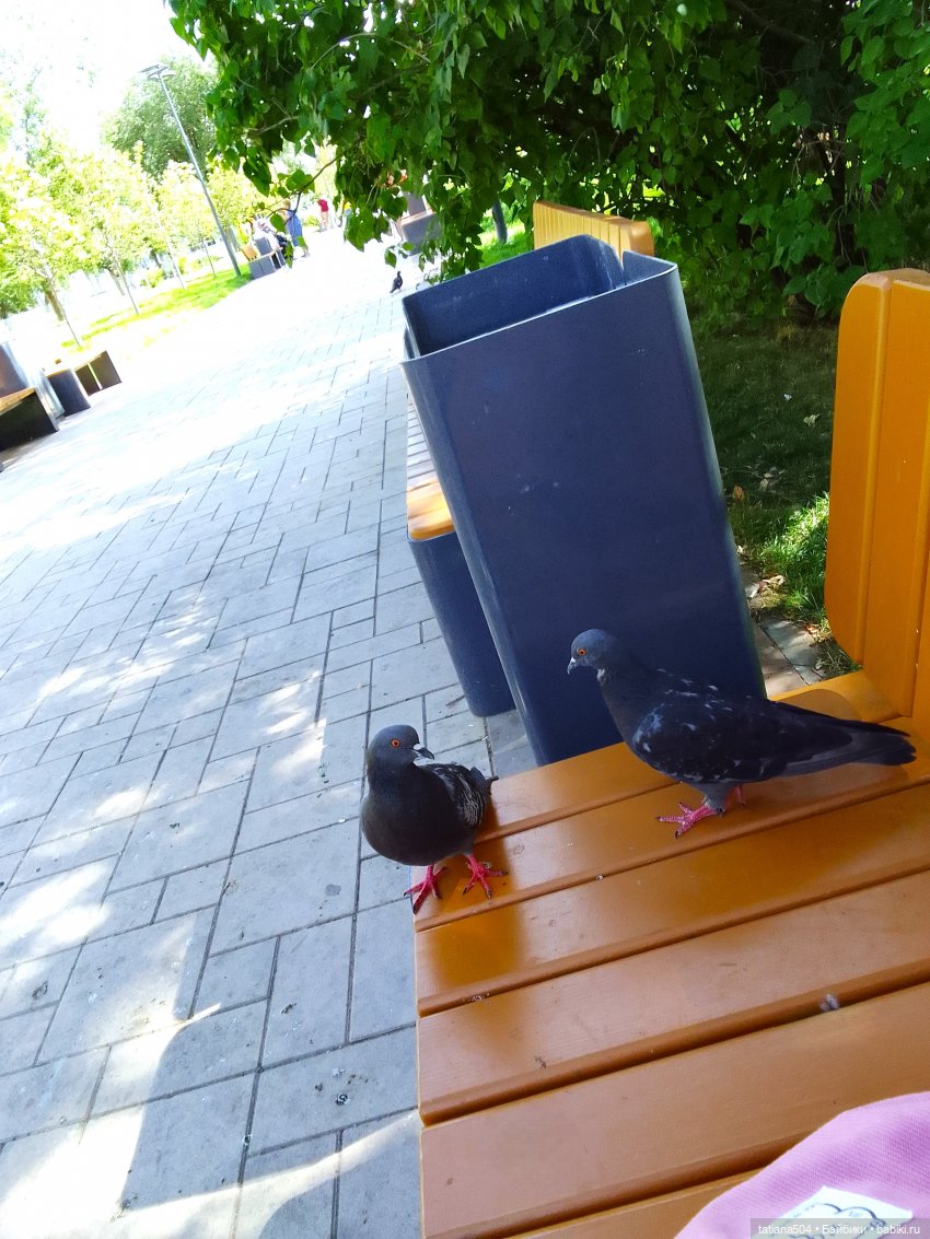 Сентябрьский променад в компании Михаэля