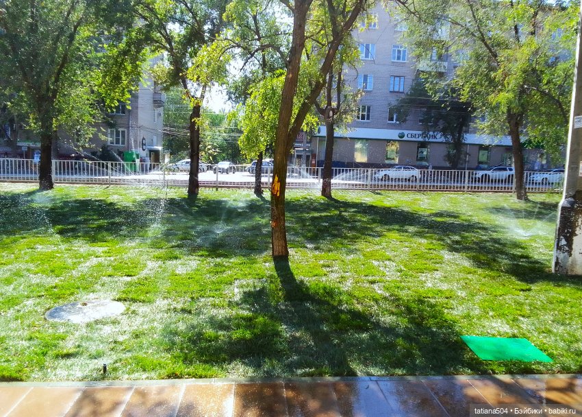 Сентябрьский променад в компании Михаэля (фото 9)