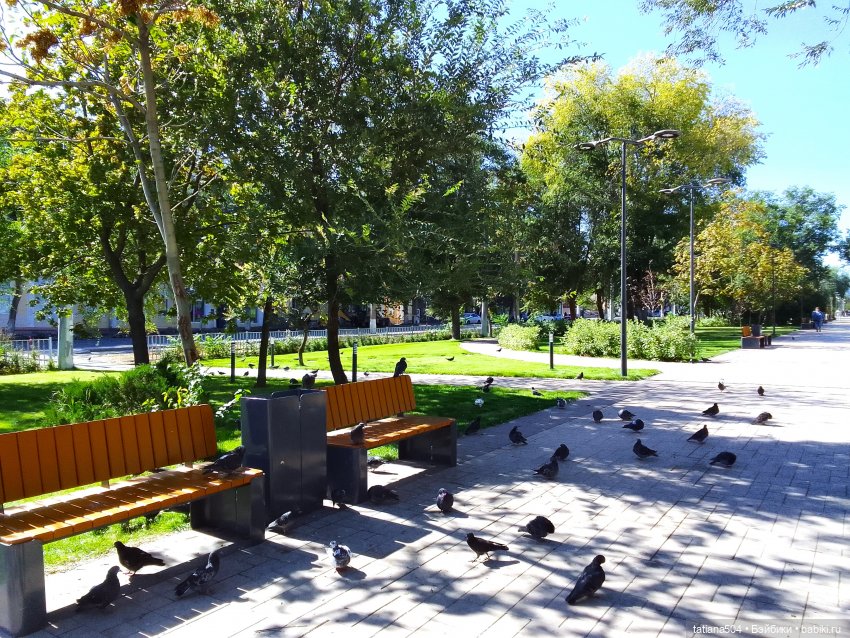 Сентябрьский променад в компании Михаэля