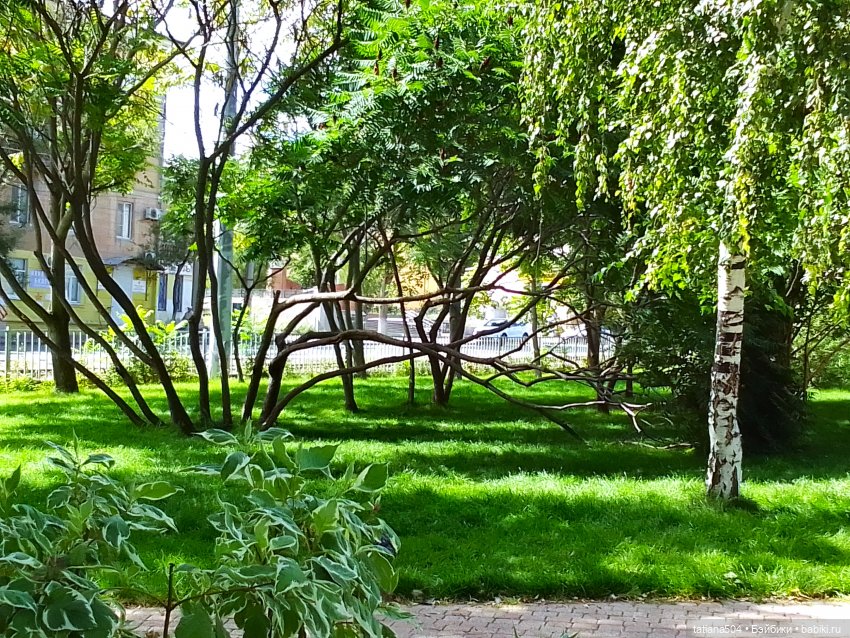 У каждой осени свои краски, гуляем с Софийкой (фото 5)