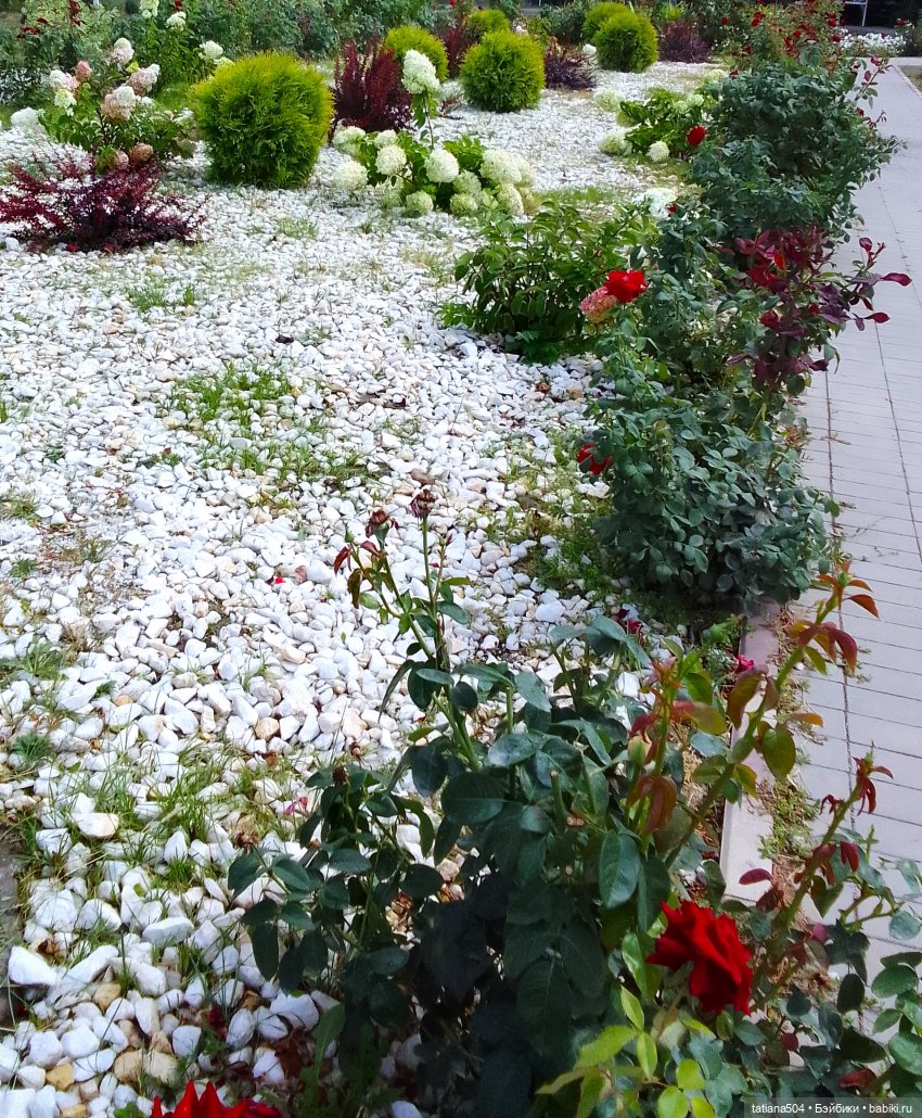 Как Ариша искала хорошее настроение