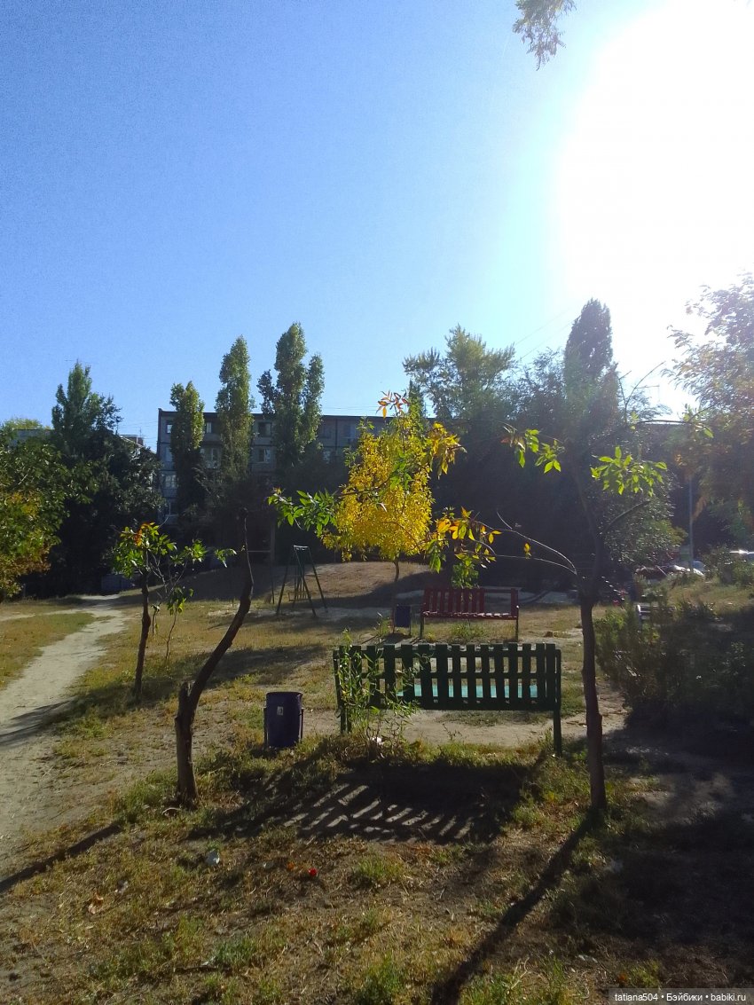 У каждой осени свои краски, гуляем с Софийкой