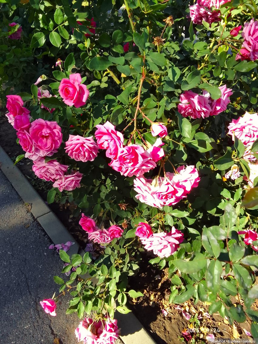 Как Эрика осень искала — Куклы The Doll Maker (Linda Rick): Bonnie Chyle (фото 9)