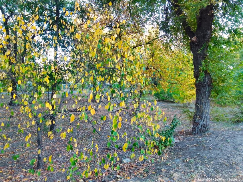 Как Эрика осень искала — Куклы The Doll Maker (Linda Rick): Bonnie Chyle