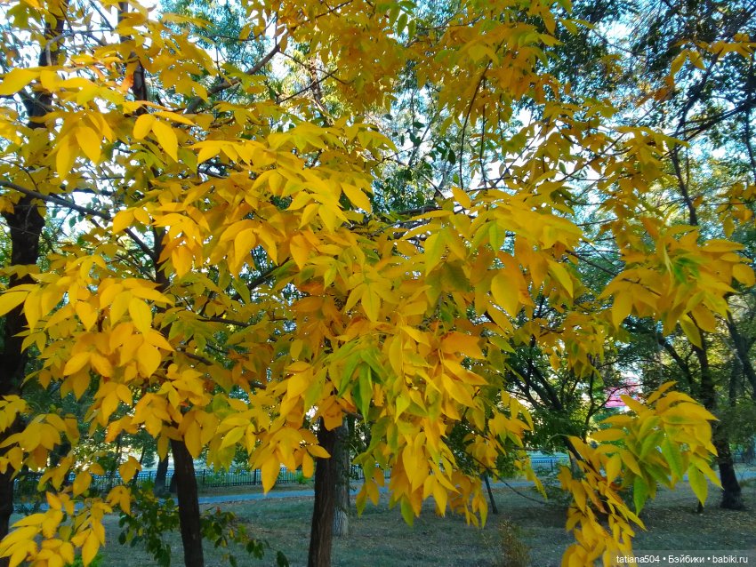 Как Эрика осень искала — Куклы The Doll Maker (Linda Rick): Bonnie Chyle