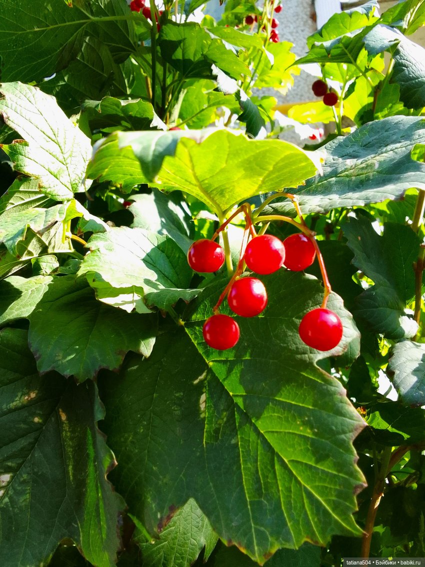 Как Эрика осень искала — Куклы The Doll Maker (Linda Rick): Bonnie Chyle