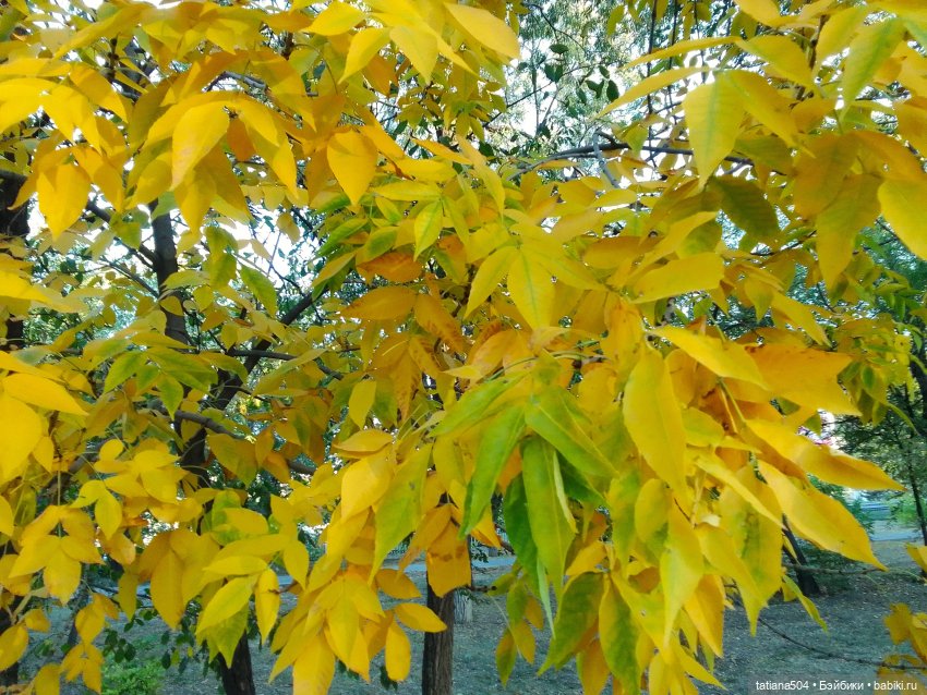 Как Эрика осень искала — Куклы The Doll Maker (Linda Rick): Bonnie Chyle