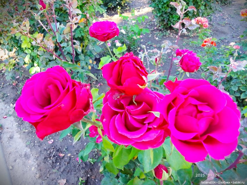 Как Эрика осень искала — Куклы The Doll Maker (Linda Rick): Bonnie Chyle (фото 7)