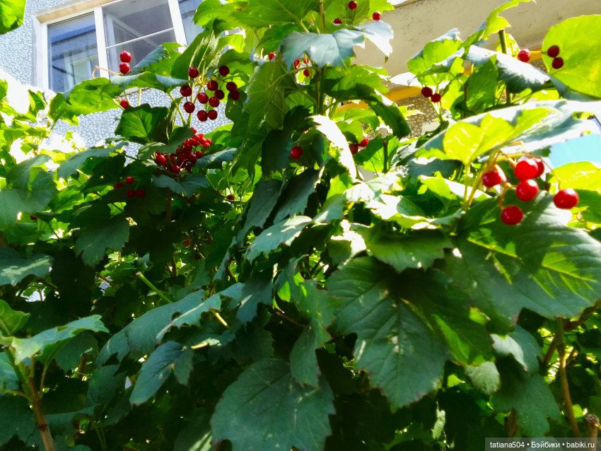 Как Эрика осень искала — Куклы The Doll Maker (Linda Rick): Bonnie Chyle