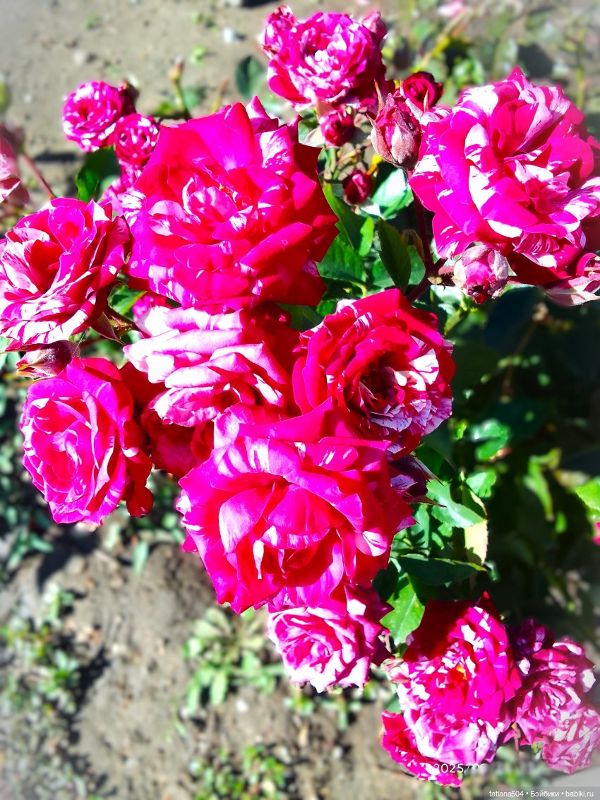 Как Эрика осень искала — Куклы The Doll Maker (Linda Rick): Bonnie Chyle (фото 6)