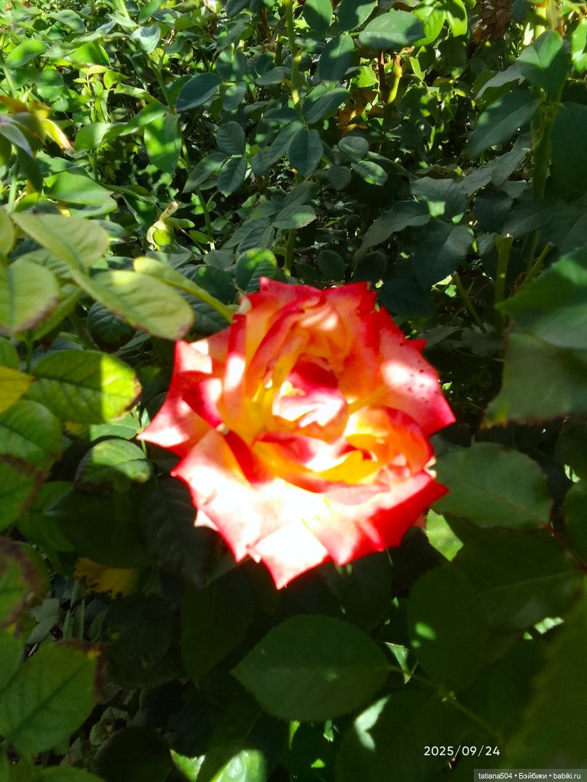 Как Эрика осень искала — Куклы The Doll Maker (Linda Rick): Bonnie Chyle (фото 10)