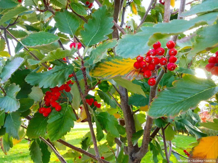 Туристический маршрут Жу — Туризм и путешествия: фотоотчеты из поездок