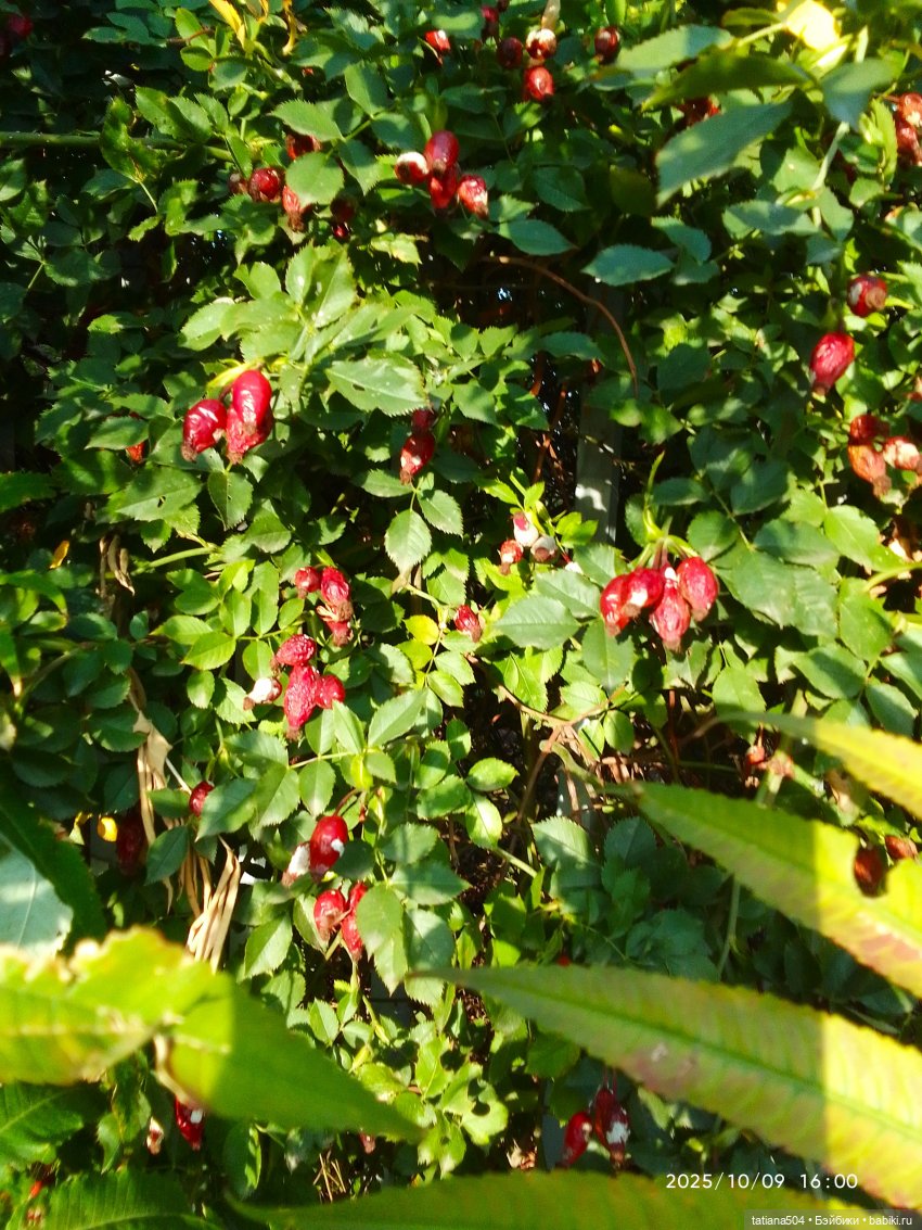 Туристический маршрут Жу — Туризм и путешествия: фотоотчеты из поездок (фото 2)