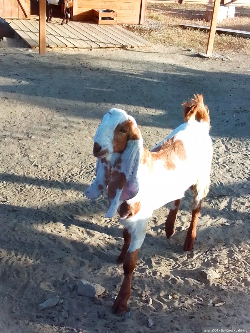 Туристический маршрут Жу (часть 4)