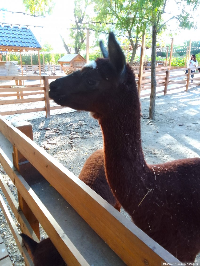 Туристический маршрут Жу (часть 4)