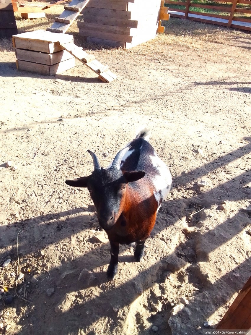 Туристический маршрут Жу (часть 4)