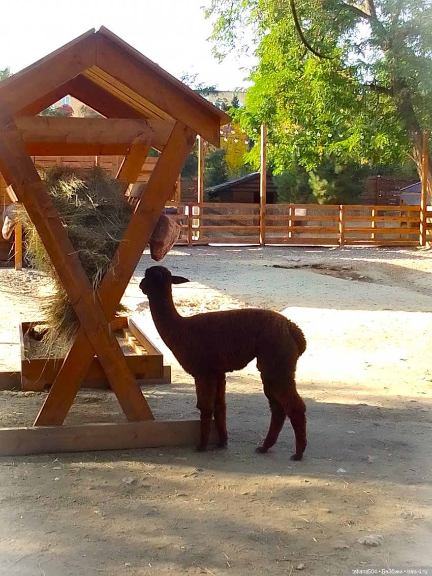 Туристический маршрут Жу (3 часть)