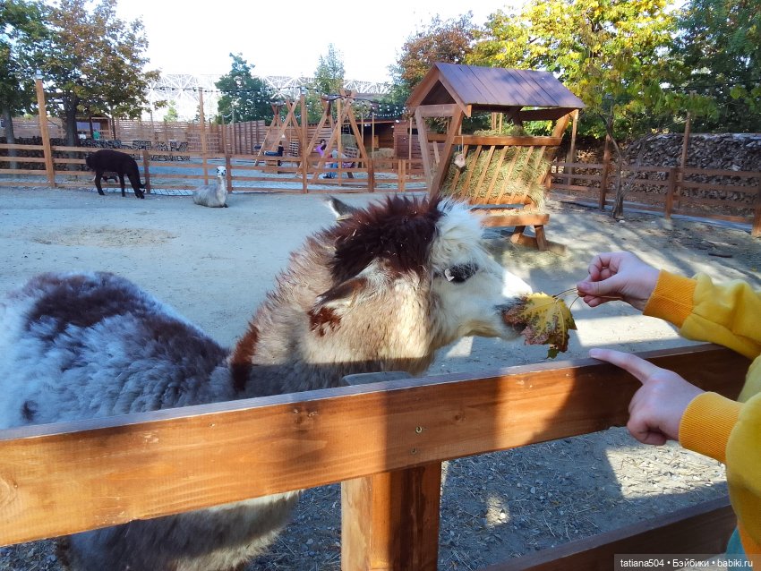 Туристический маршрут Жу (часть 4)