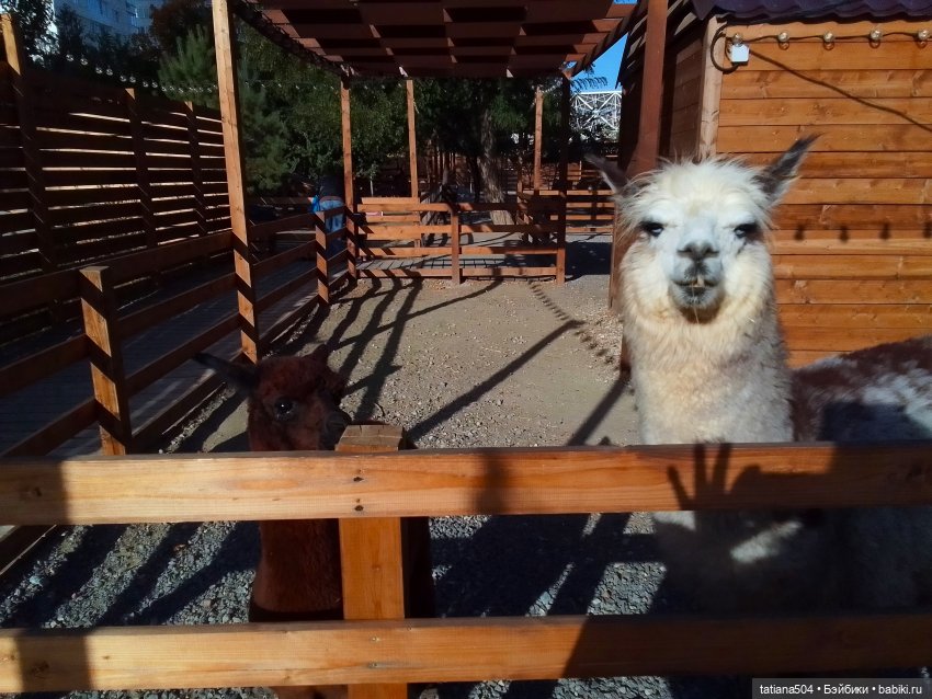 Туристический маршрут Жу (3 часть)