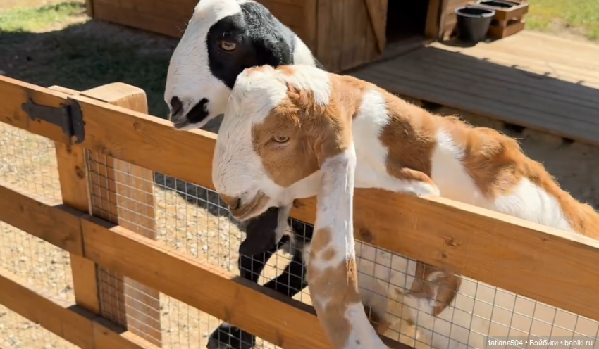 Туристический маршрут Жу (часть 4)