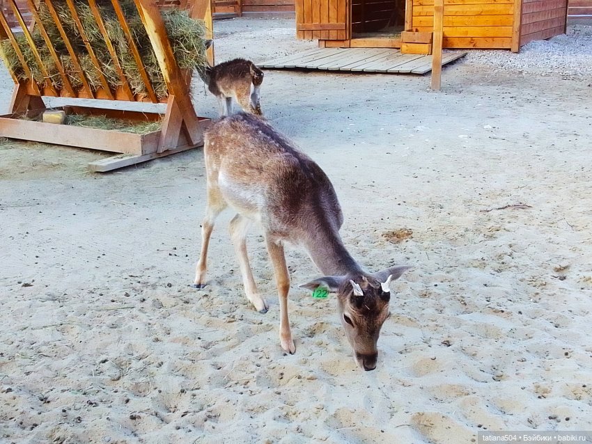Туристический маршрут Жу (3 часть)