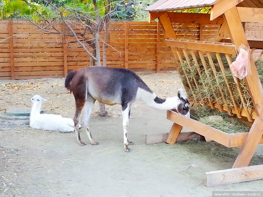 Туристический маршрут Жу (часть 4)