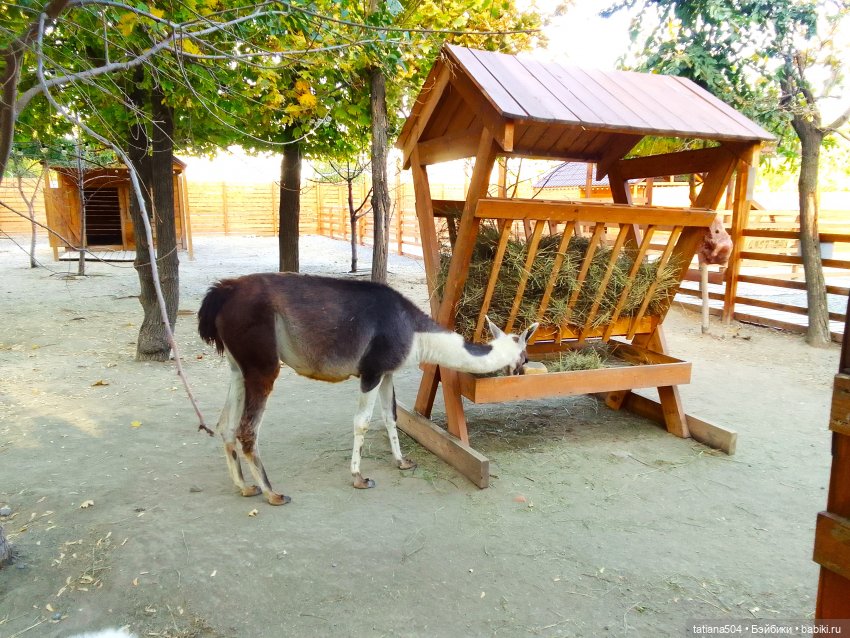 Туристический маршрут Жу (часть 4)