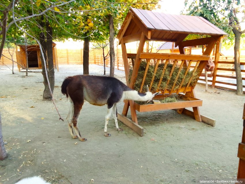 Туристический маршрут Жу (3 часть)