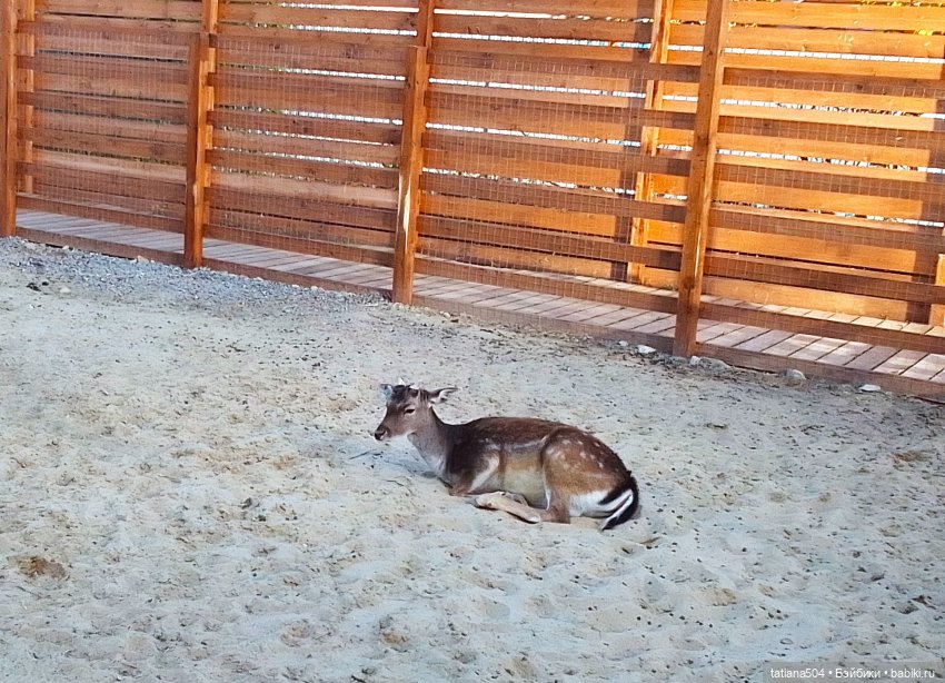 Туристический маршрут Жу (3 часть)