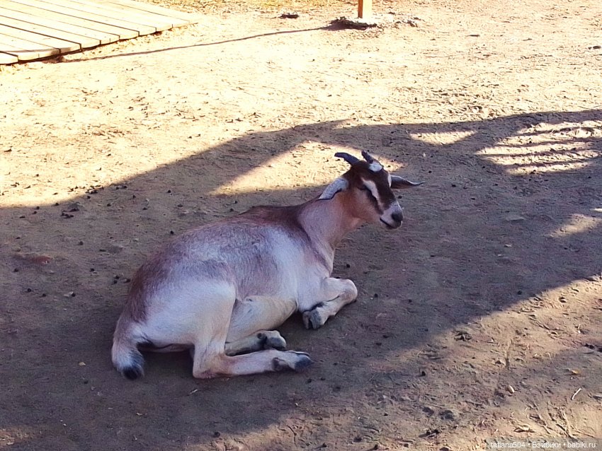 Туристический маршрут Жу (3 часть)