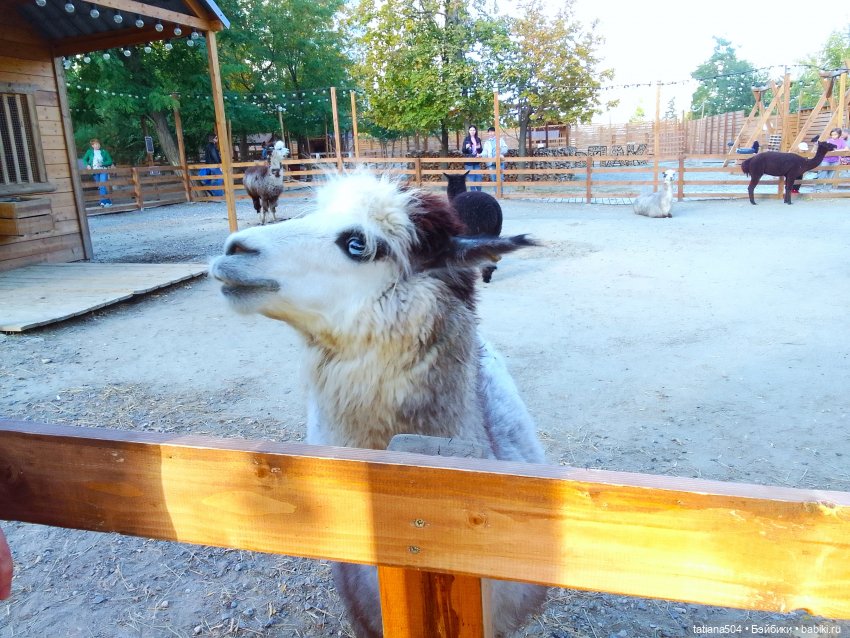 Туристический маршрут Жу (часть 4)