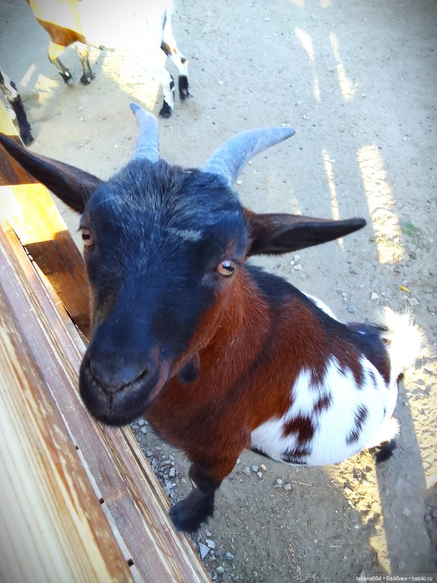 Туристический маршрут Жу (часть 4)