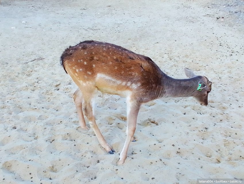 Туристический маршрут Жу (3 часть)