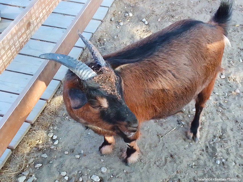 Туристический маршрут Жу (часть 4)